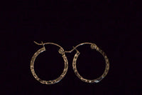 The Vivienne Hoops