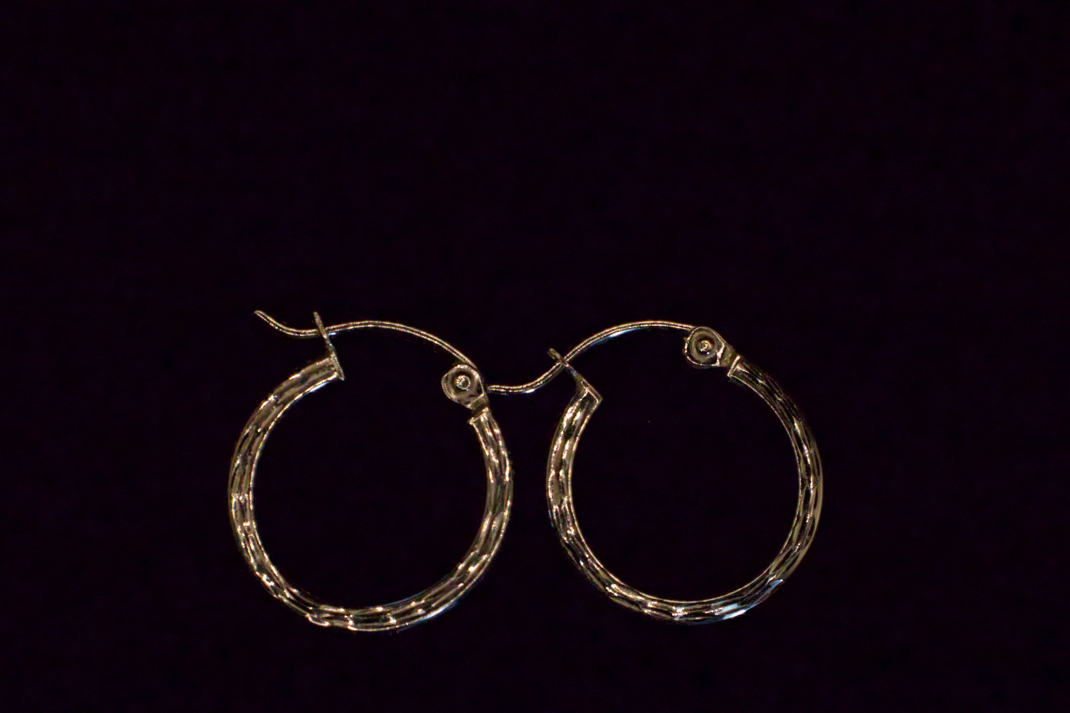 The Vivienne Hoops