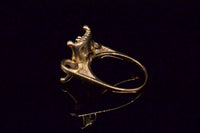 The Vertex Ring
