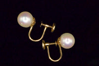 Perle No. 1 Screwback Earrings